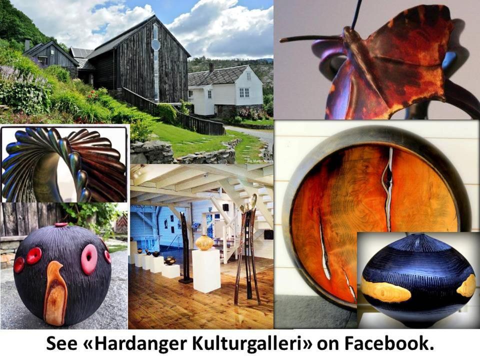 Apartment In Herand, Hardanger Exteriör bild